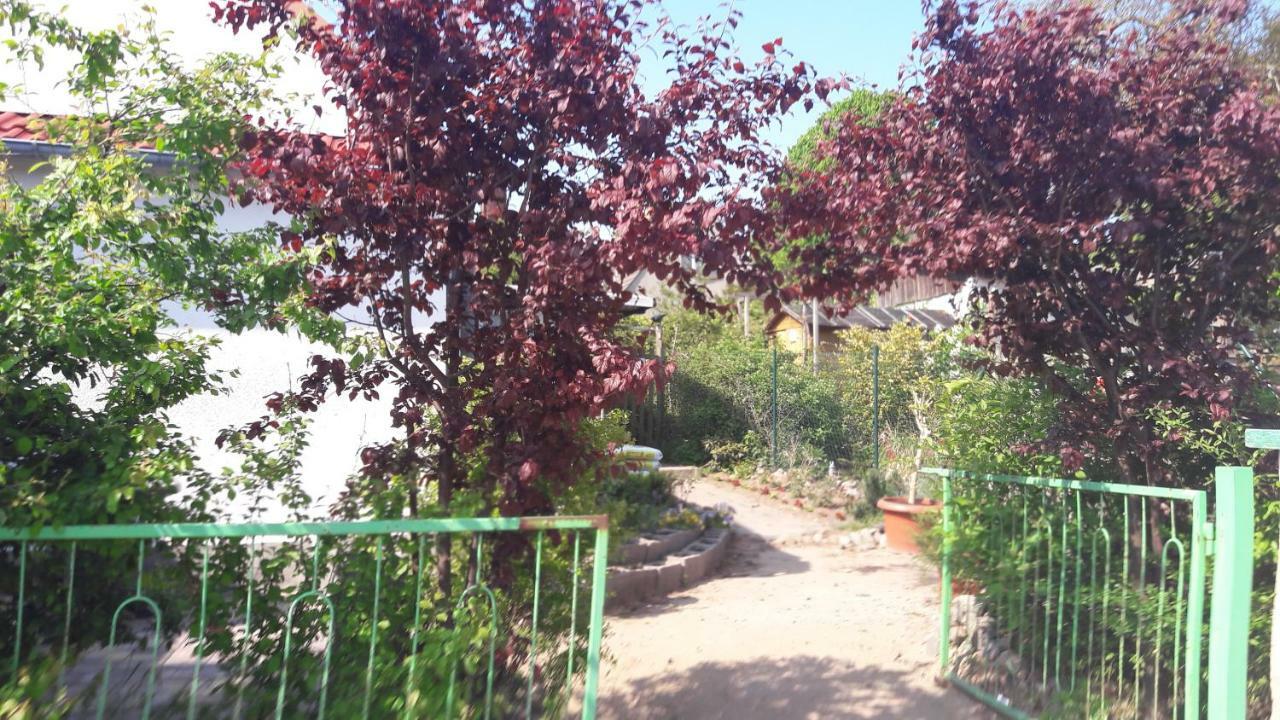 Apartments Zum Brauergang Garz (Rugen) Exterior foto